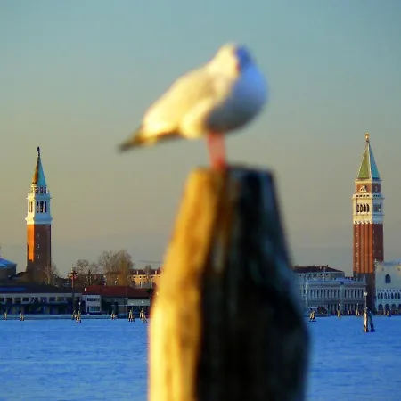 Maison d'hôtes Venice Movie